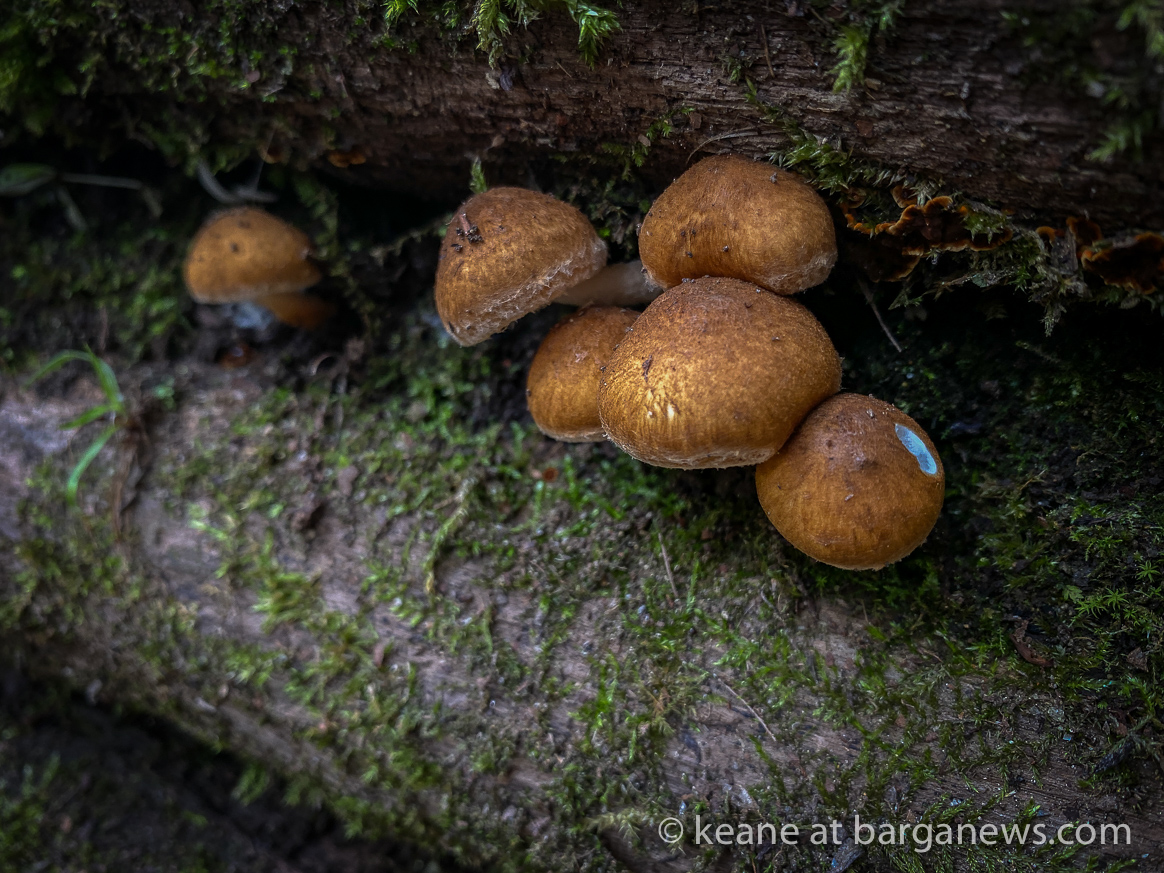 Daily Image 22nd October 2020