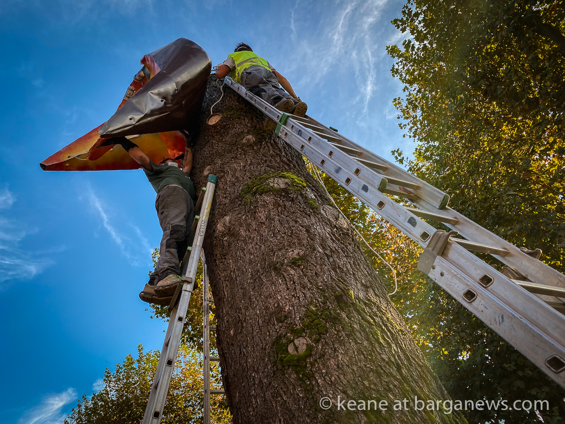 images from barga -15066