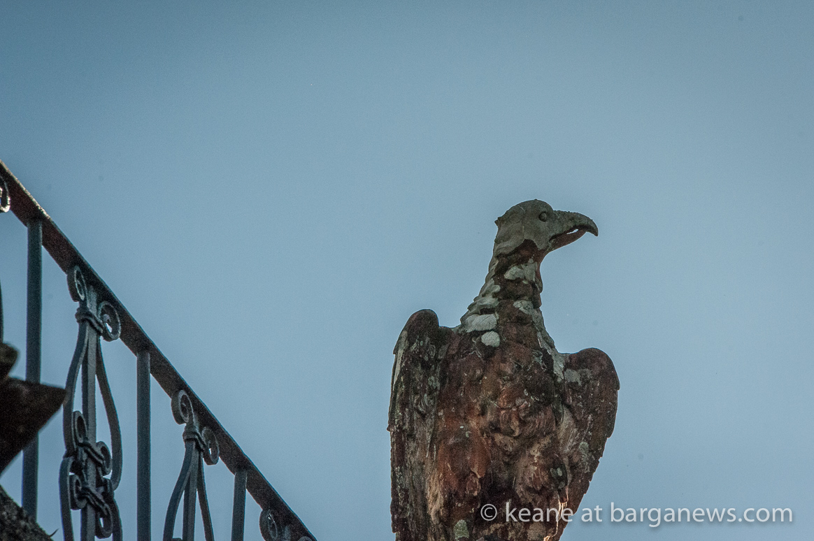 Daily Image 8th October 2020