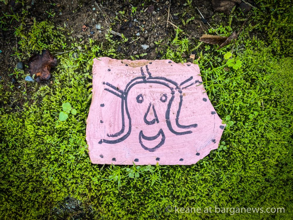 images from barga -15369