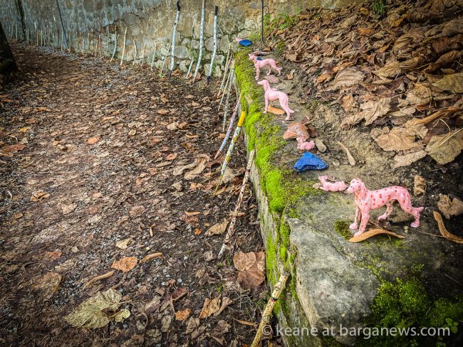 images from barga -15371