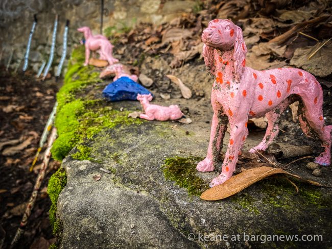 images from barga -15373