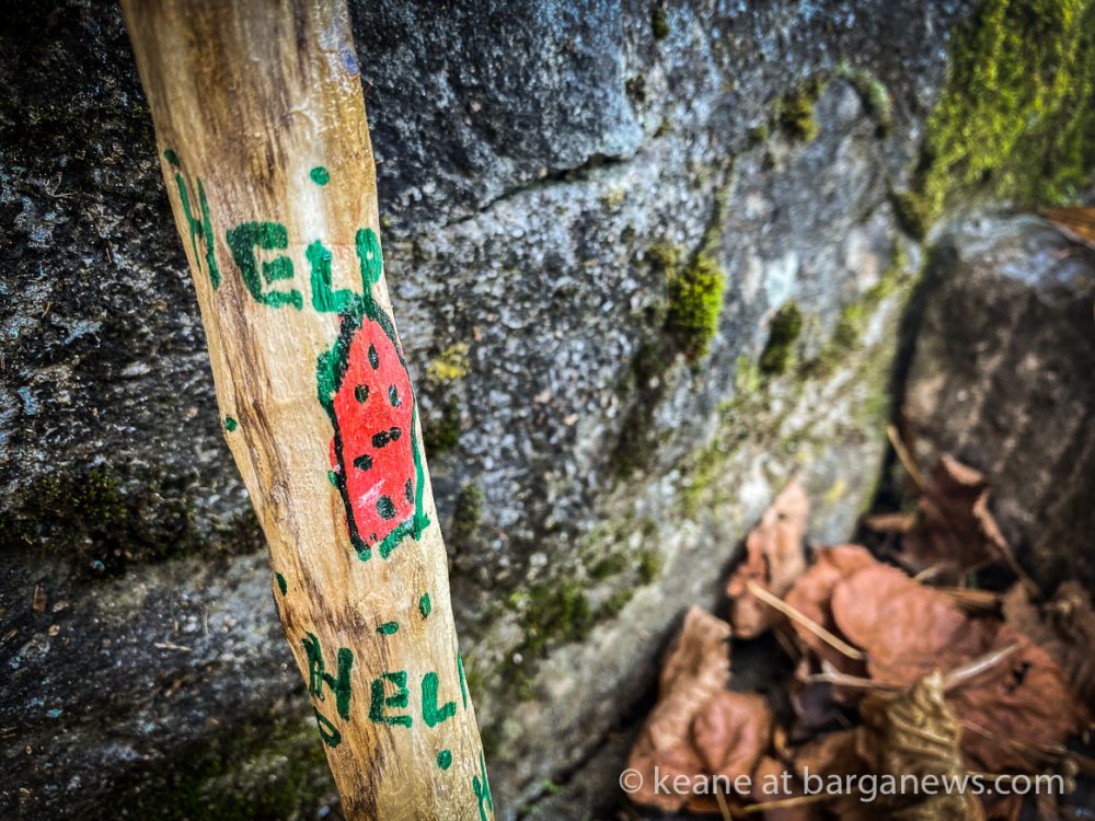 images from barga -15385