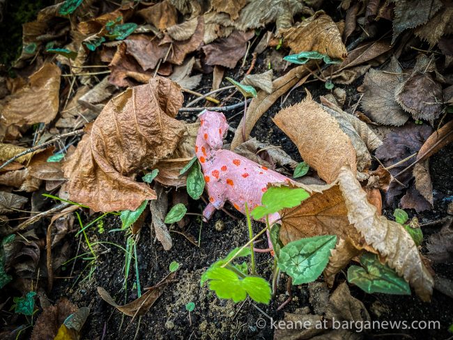 images from barga -15388