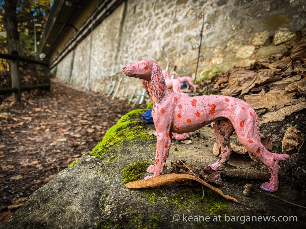 images from barga -15395