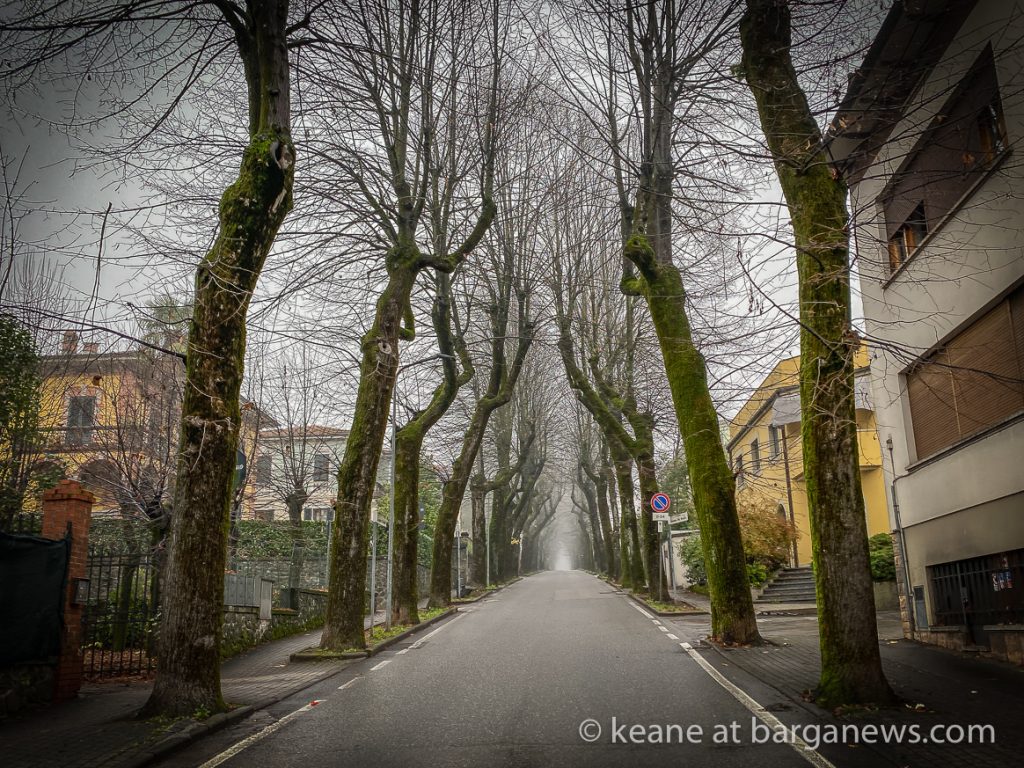 Daily Image from BARGA 16th November 2020