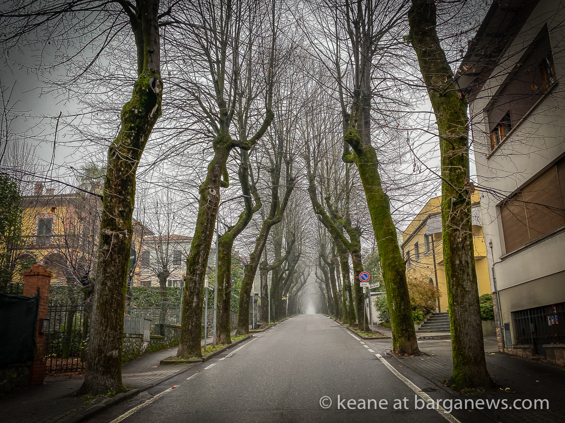 Daily Image from BARGA 16th November 2020