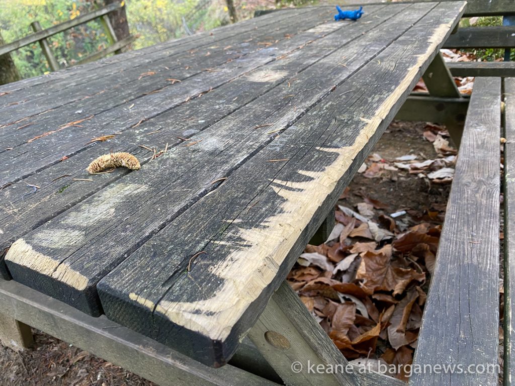 Daily Image from BARGA 20th November 2020