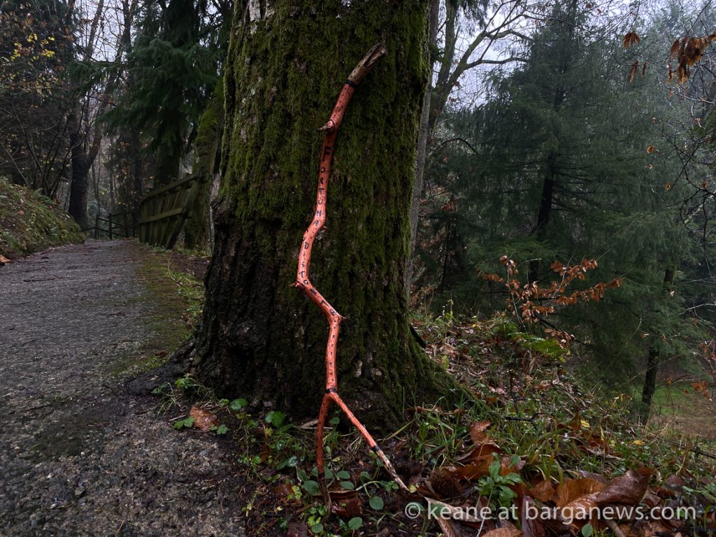 Daily Image from BARGA 4th December 2020