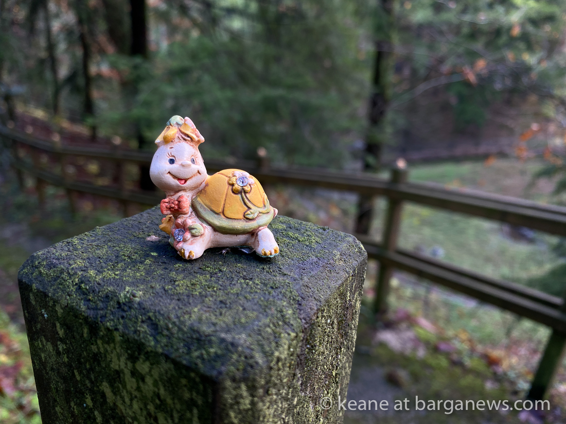 Daily Image from BARGA 18th December 2020