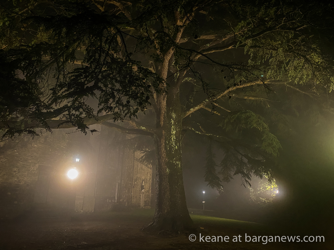 Daily Image from BARGA 20th December 2020