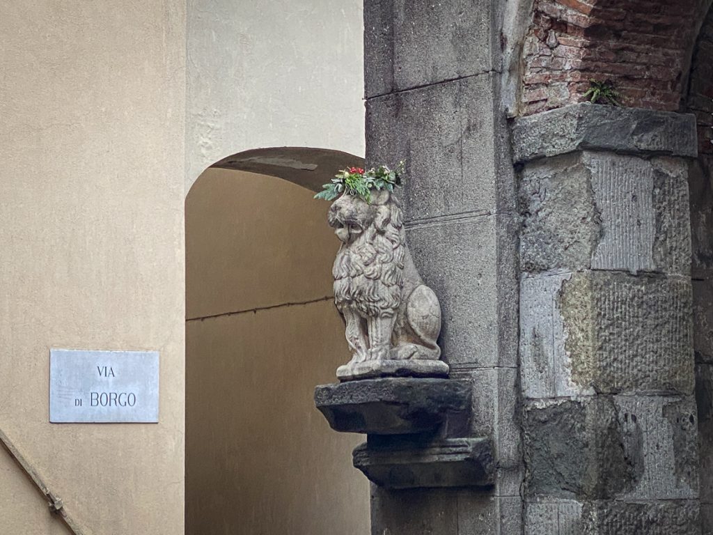 Daily Image from BARGA 22nd December 2020