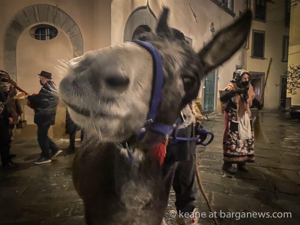 Daily Image from BARGA 5th January 2021