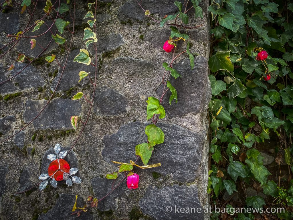 Daily Image from BARGA 12th January 2021