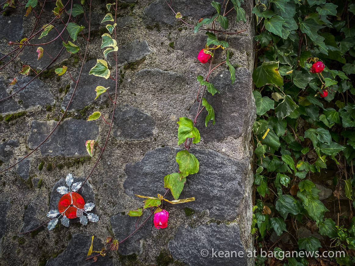 Daily Image from BARGA 12th January 2021