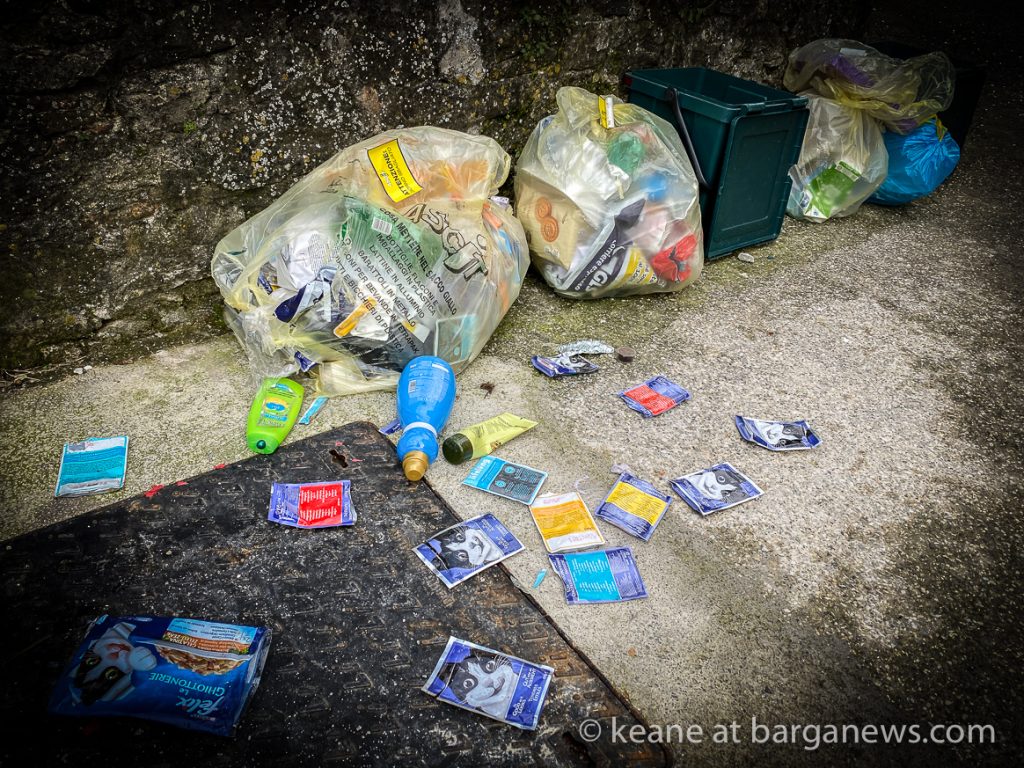 Daily Image from BARGA 19th January 2021