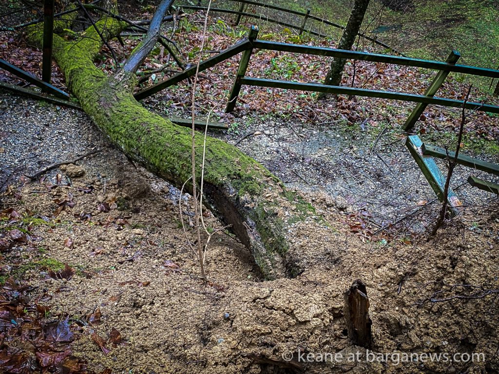 Daily Image from BARGA 23rd January 2021