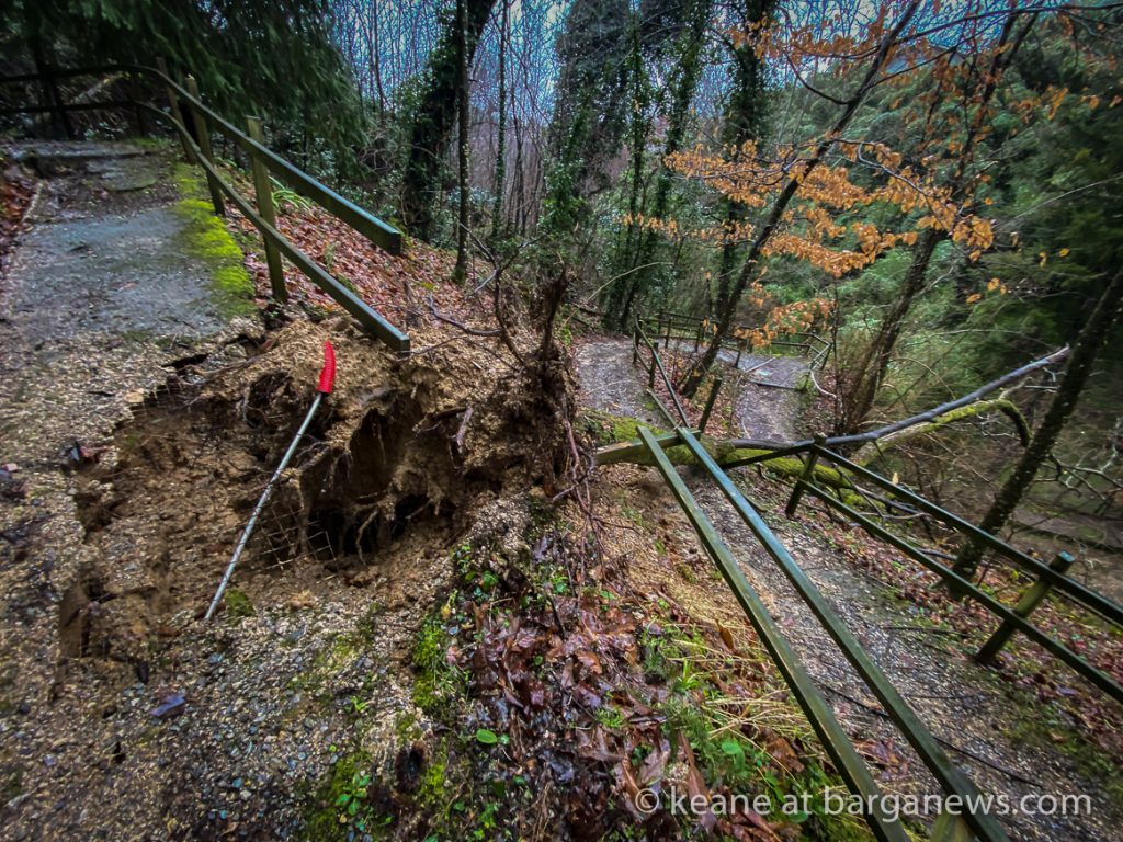 Parco Buozzi – tree fallen in the night