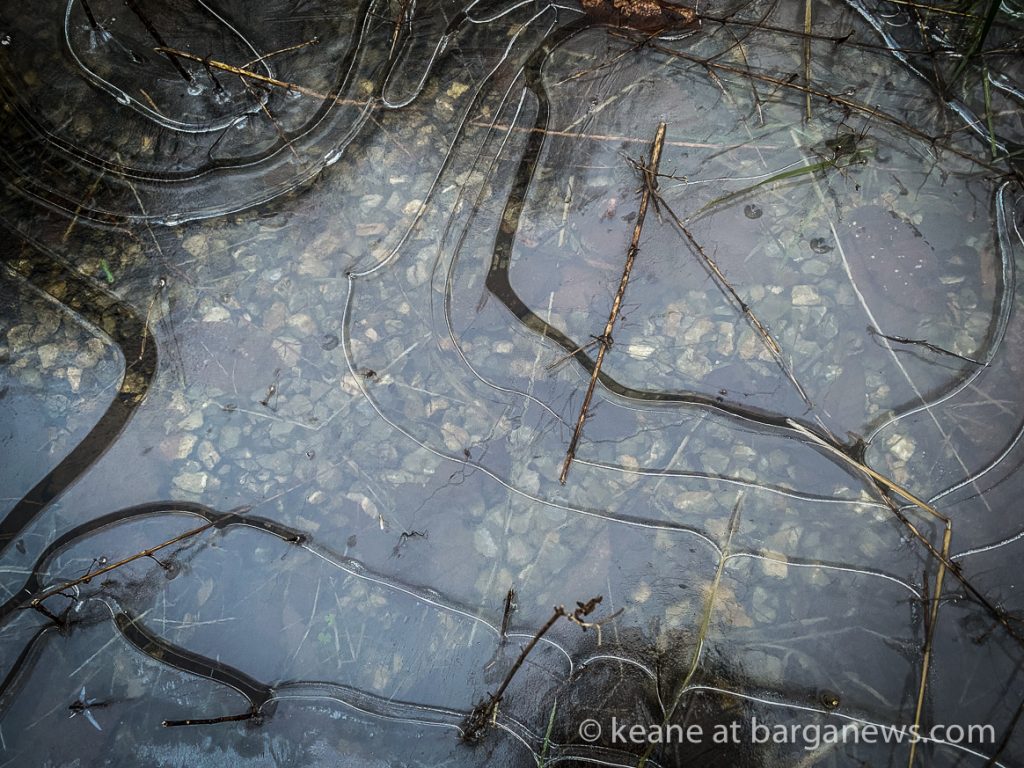 Daily Image from BARGA 28th January 2021