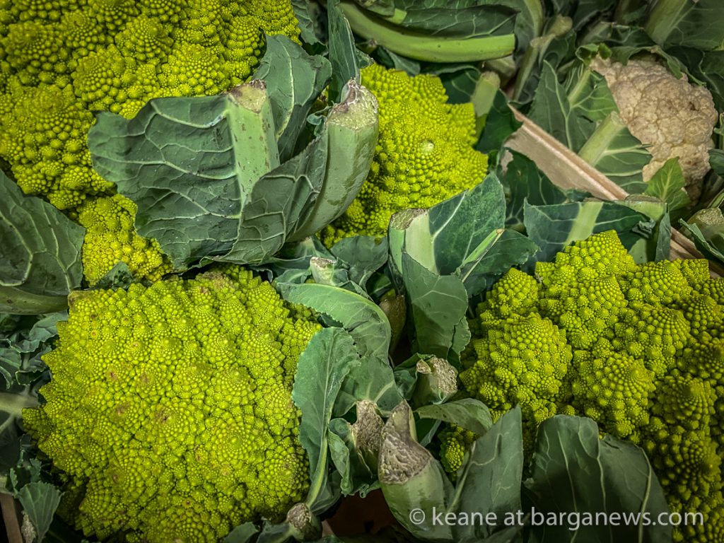 Daily Image from BARGA 7th February 2021