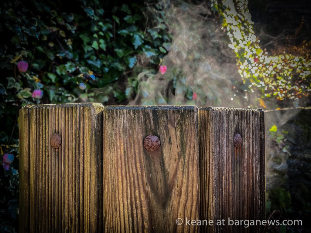 Daily Image from BARGA 11th February 2021