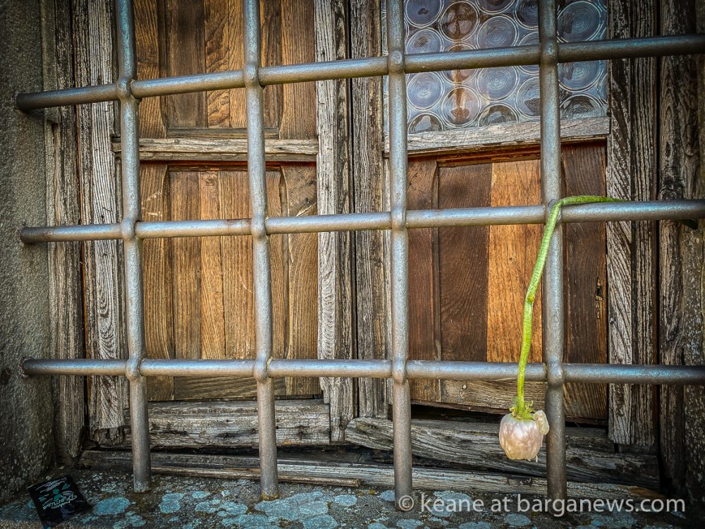 images from barga -20117