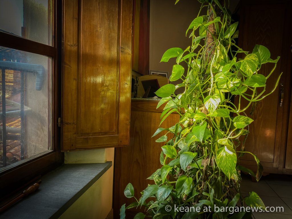 Daily Image from BARGA 21st February 2021