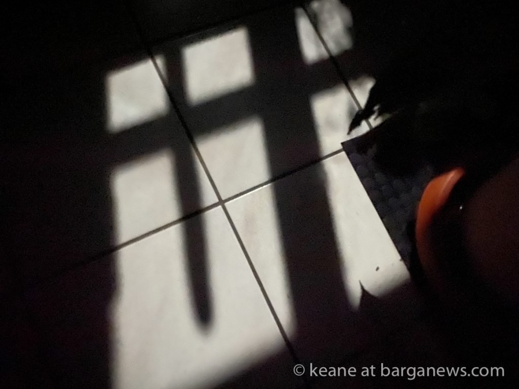 Daily Image from BARGA 27th February 2021