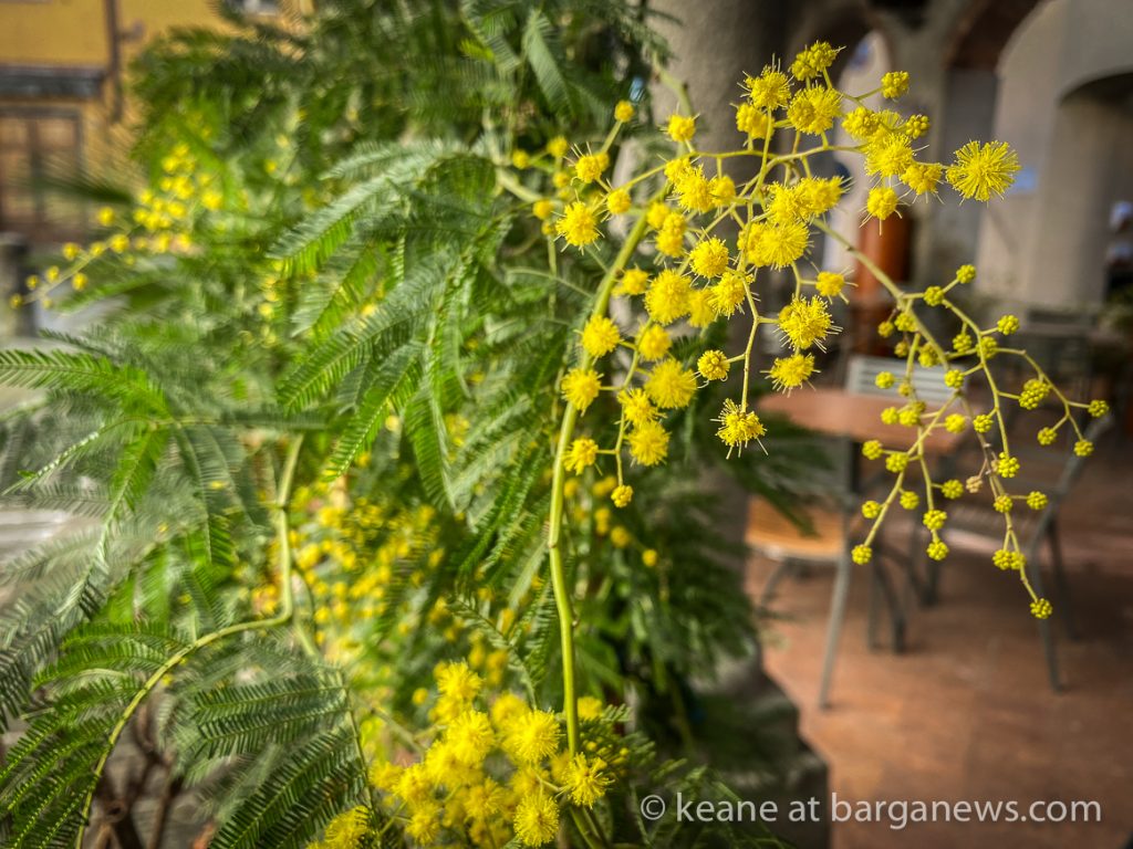 Daily Image from BARGA 8th March 2021