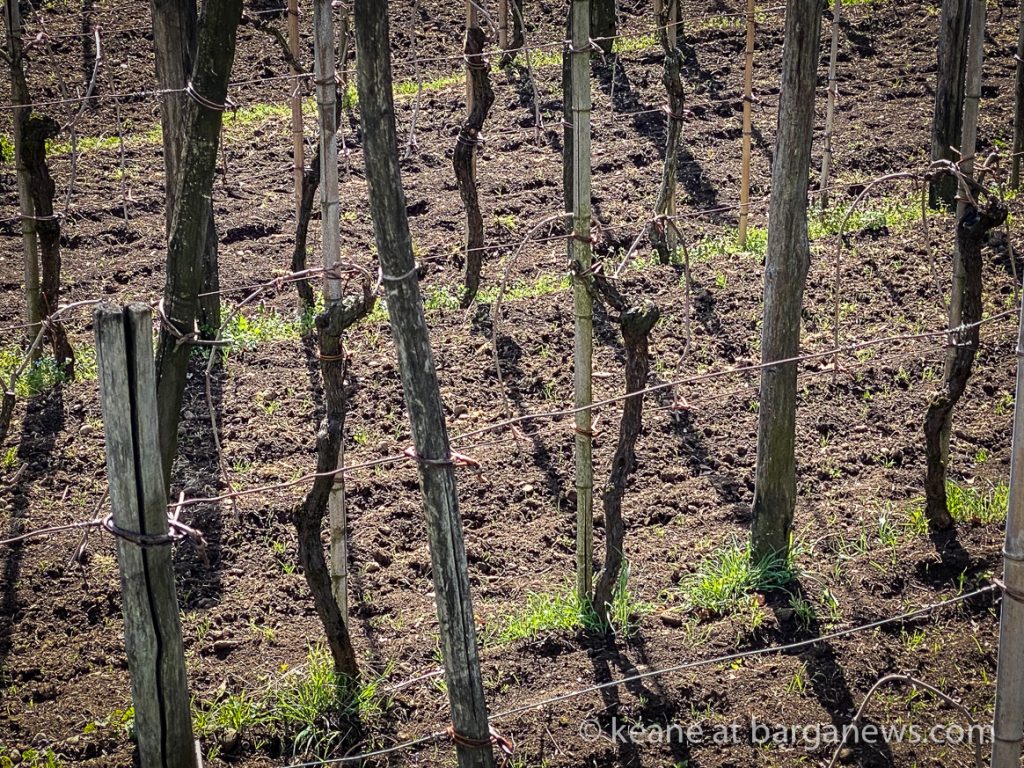 Daily Image from BARGA 15th March 2021