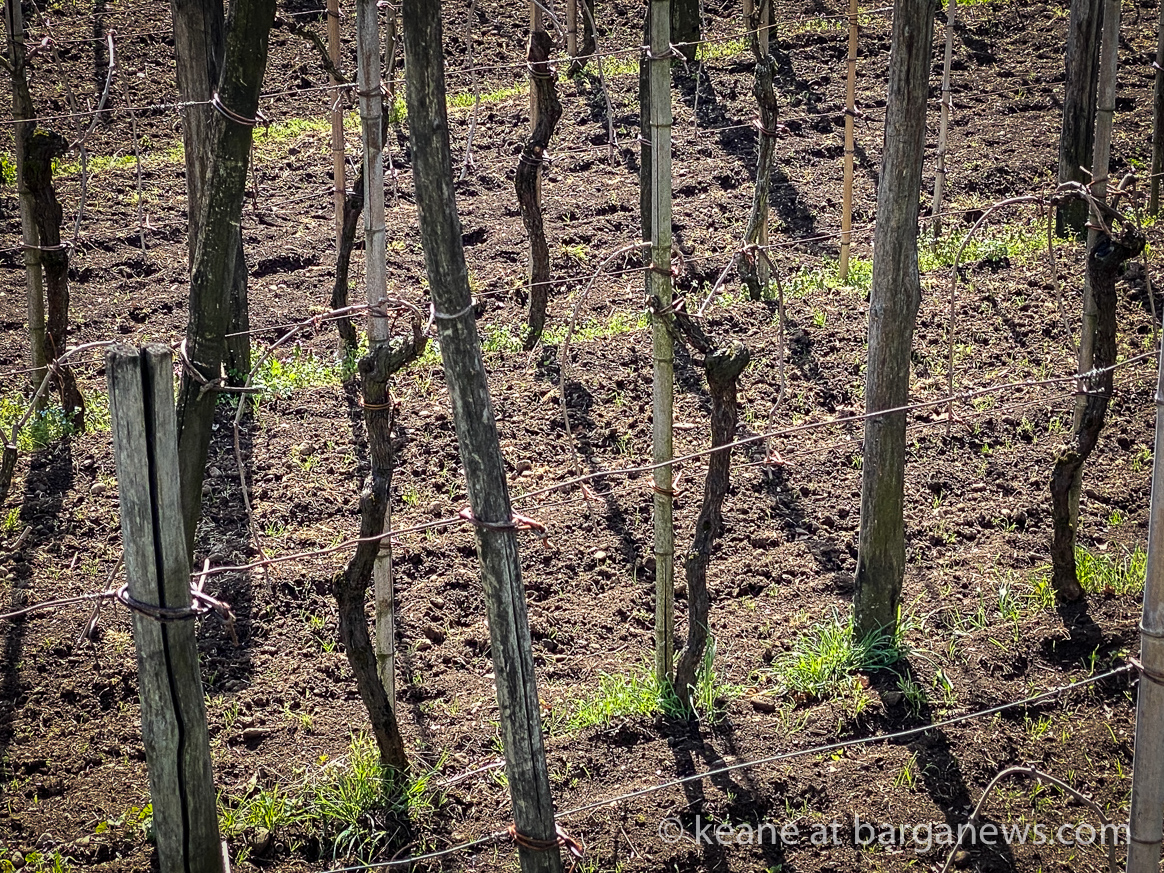 images from barga -21396