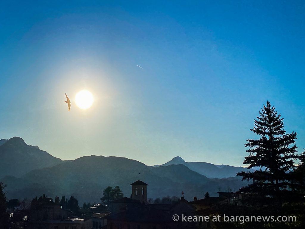 First swallows of the year