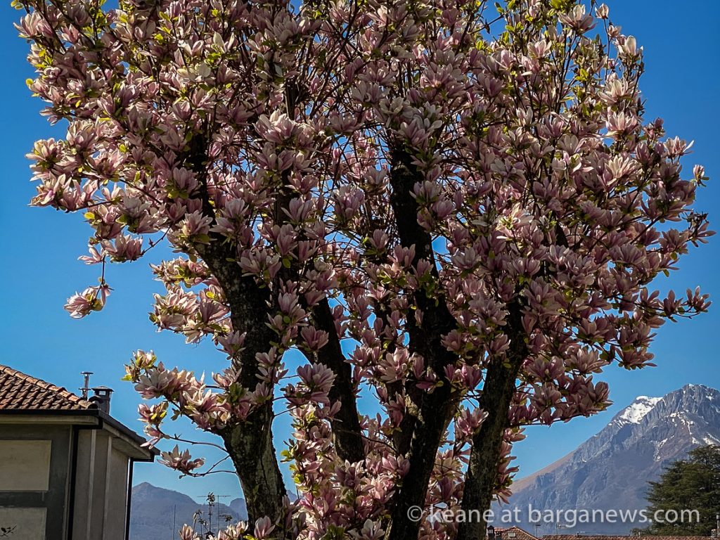 Daily Image from BARGA 30th March 2021