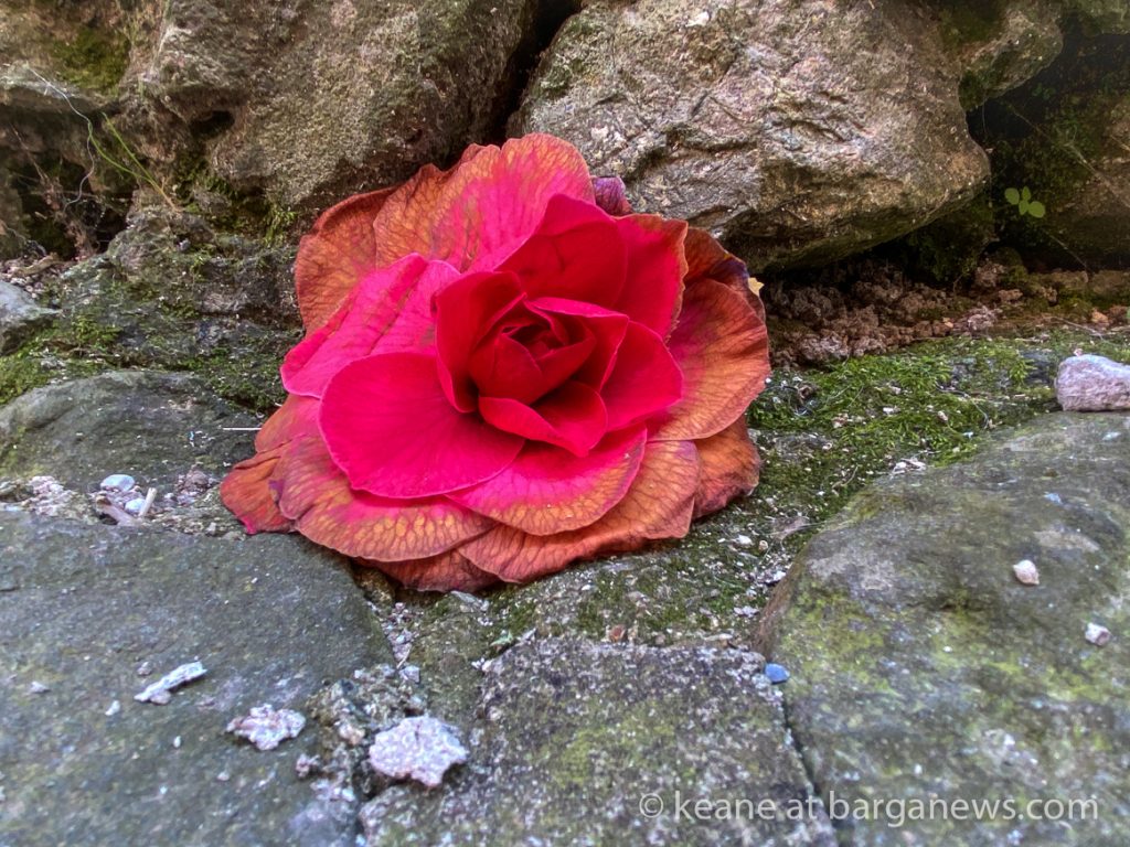 Daily Image from BARGA 3rd April 2021