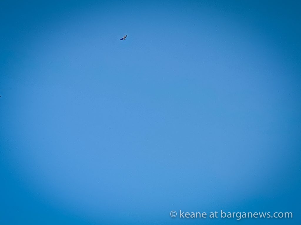 Daily Image from BARGA 7th April 2021