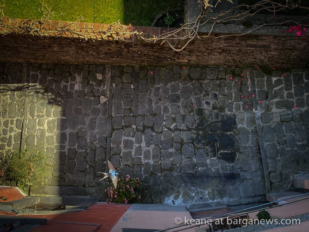 Daily Image from BARGA 21st April 2021