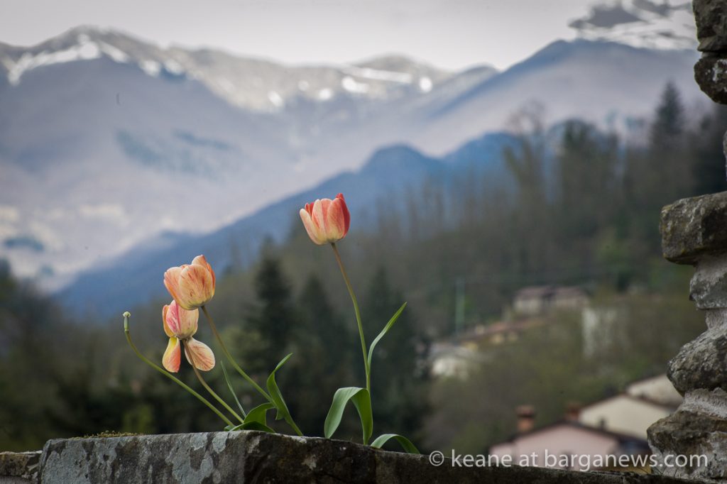 Daily Image from BARGA 19th April 2021
