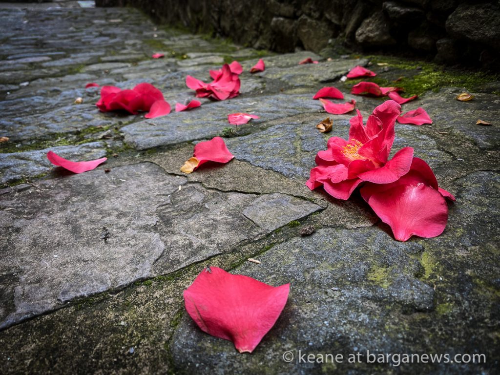 Daily Image from BARGA 30th April 2021