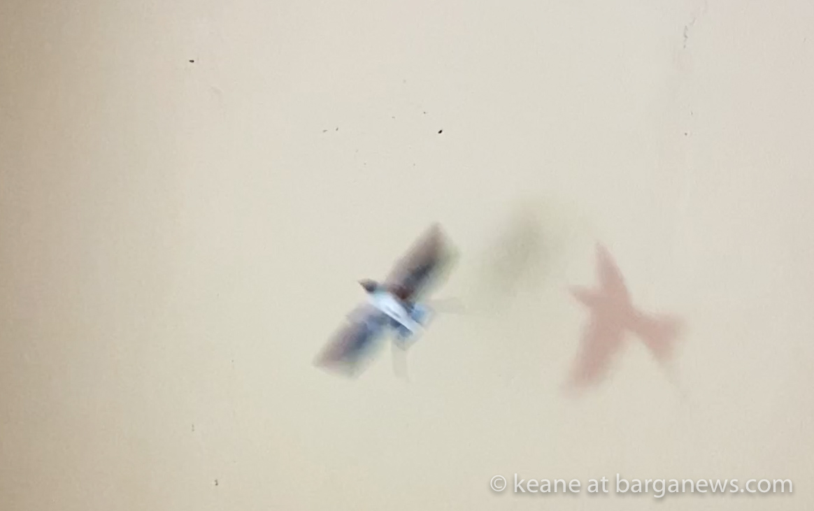 images from barga -53-4