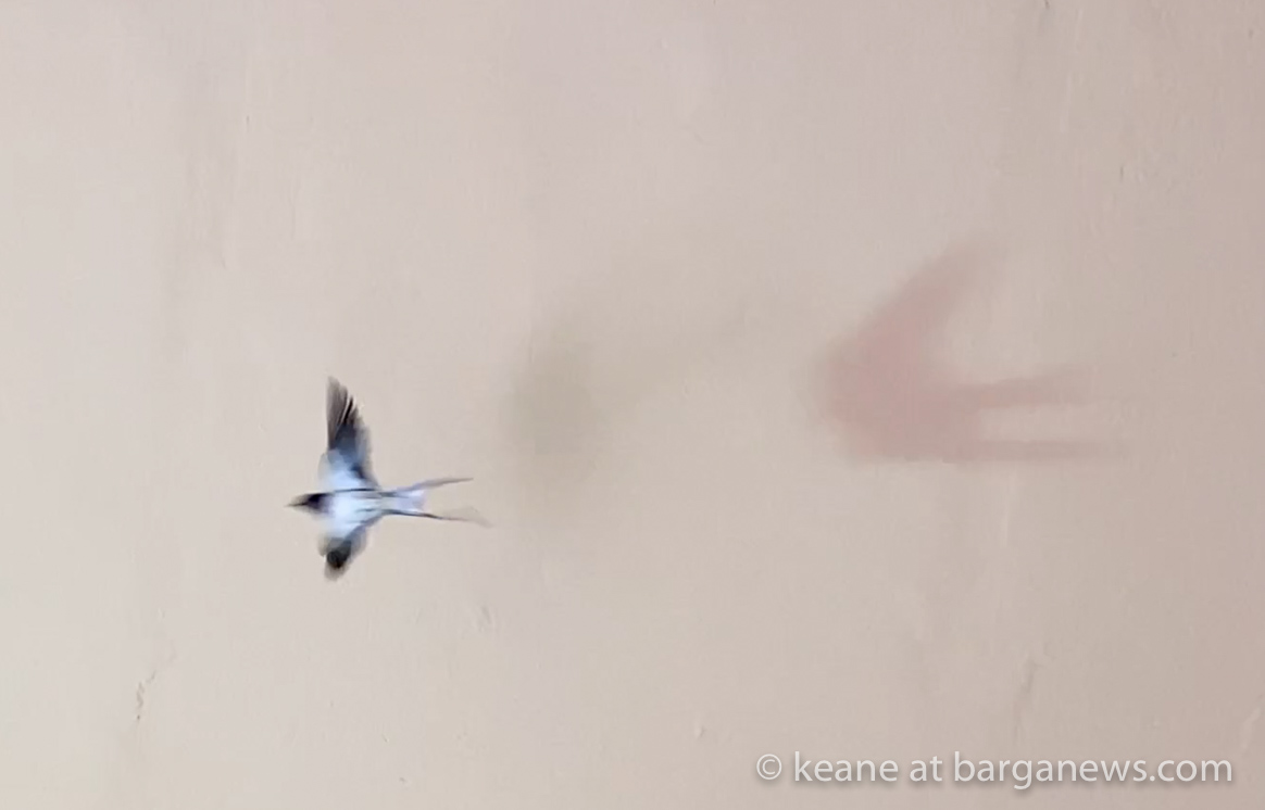 images from barga -53