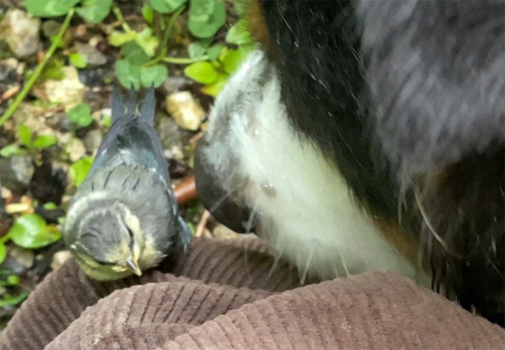 Chance meeting in the rain