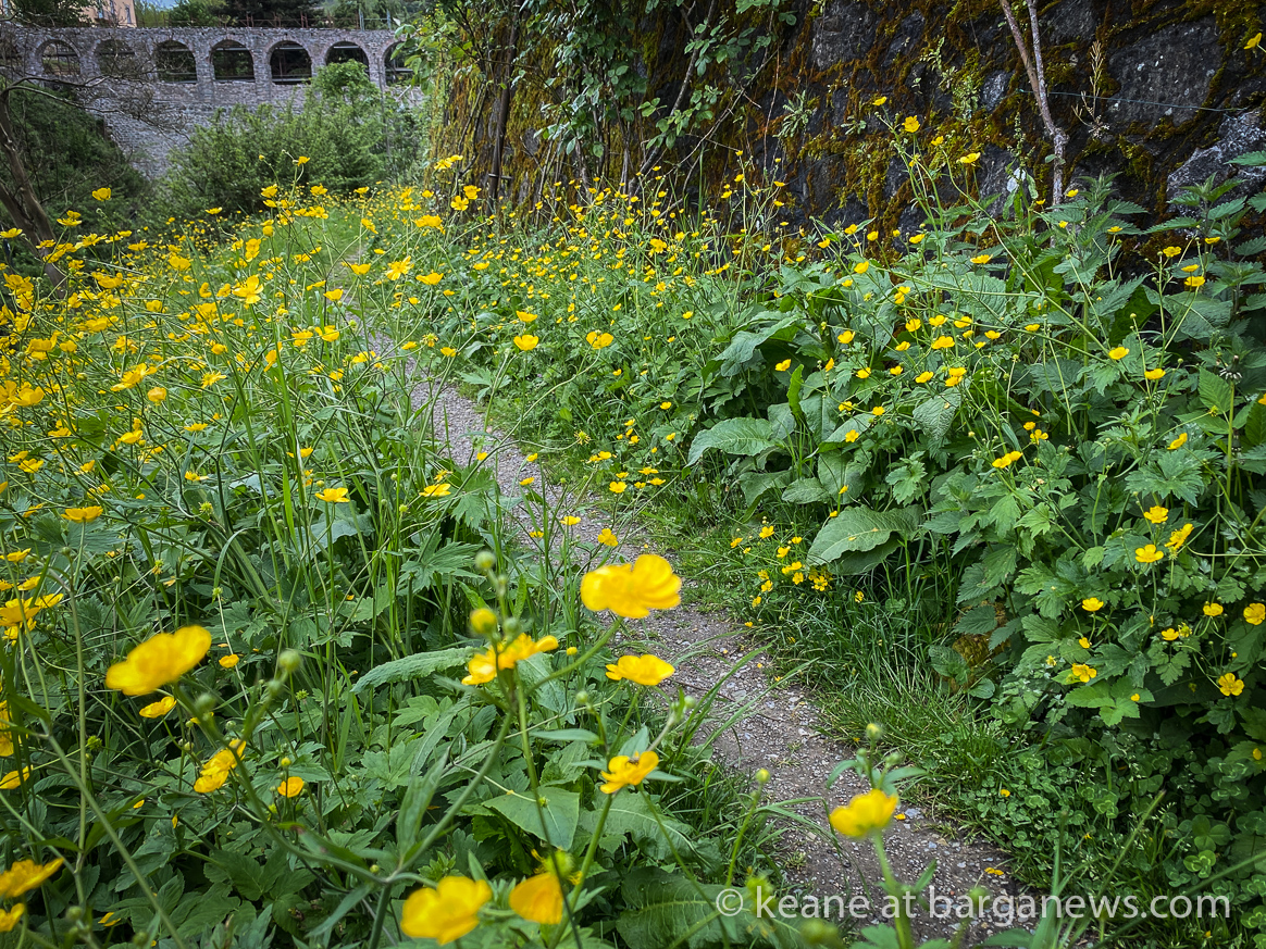 Daily Image from BARGA 2nd May 2021