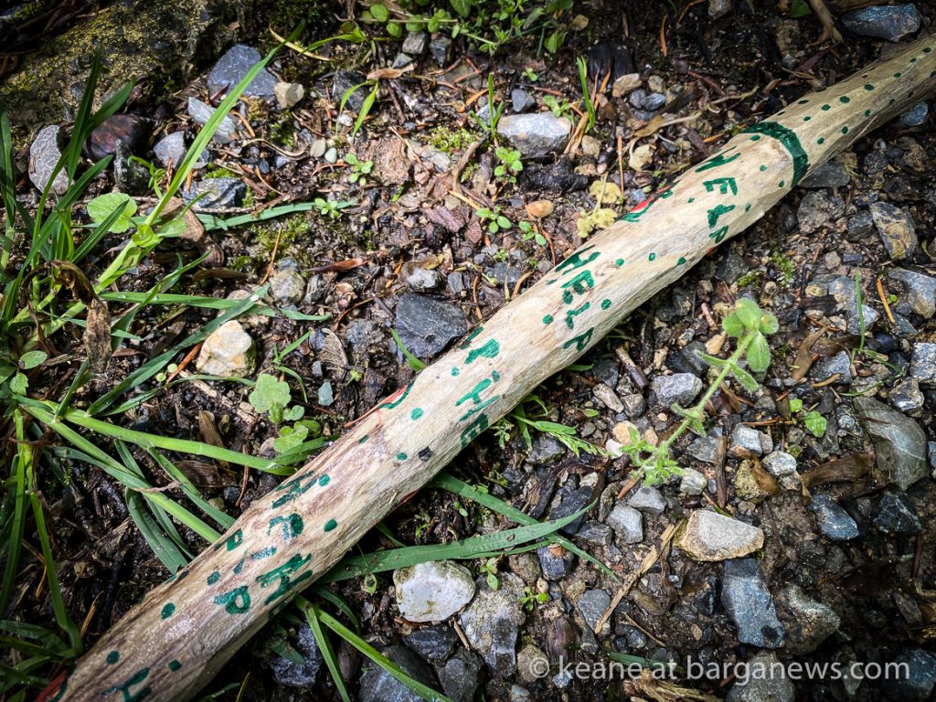 Daily Image from BARGA 13th May 2021