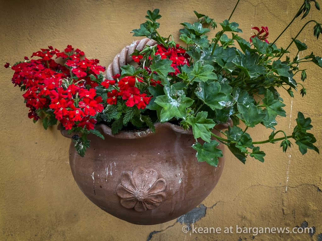 Daily Image from BARGA 23rd May 2021