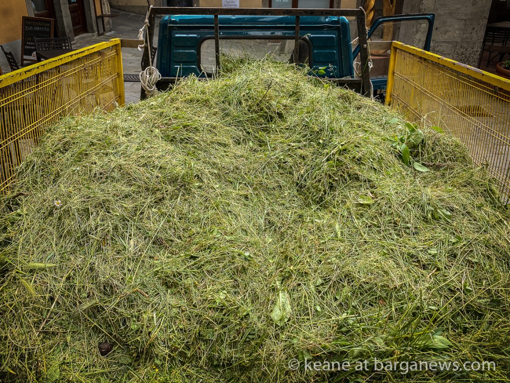 Daily Image from BARGA 17th May 2021