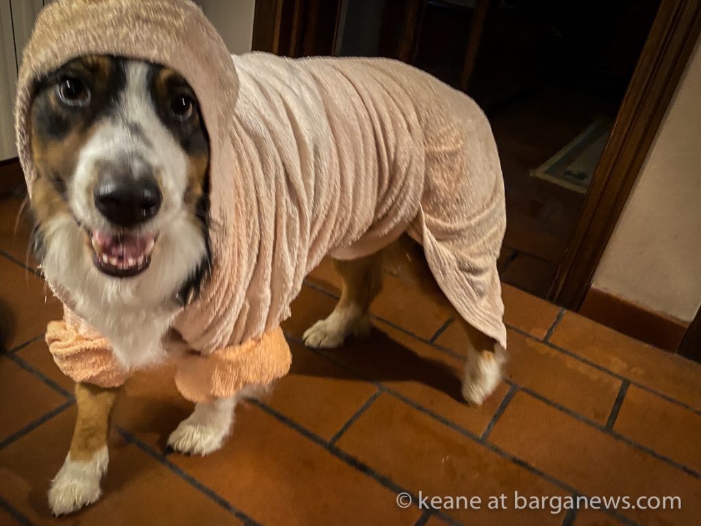 Daily Image from BARGA 19th May 2021