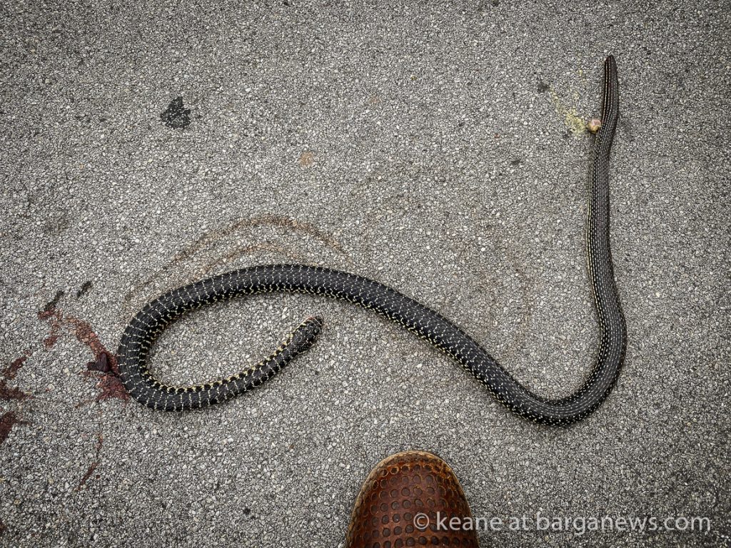 Daily Image from BARGA 30th May 2021