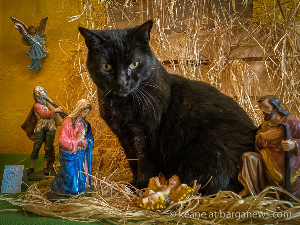 Daily Image from BARGA 6th June 2021