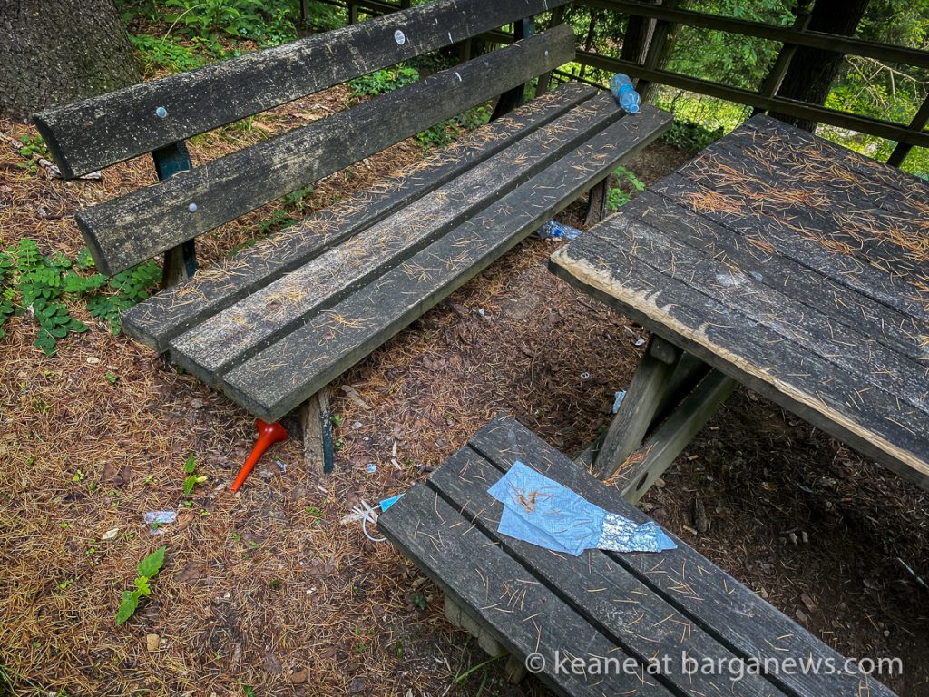 Daily Image from BARGA 11th June 2021