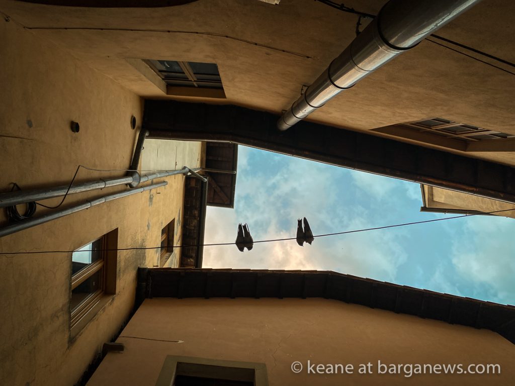 Daily Image from BARGA 16th June 2021